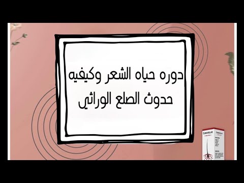كورس ٣ عبوات كيرلي ايلي لوشن ( لفتره ٣ شهور كامله)